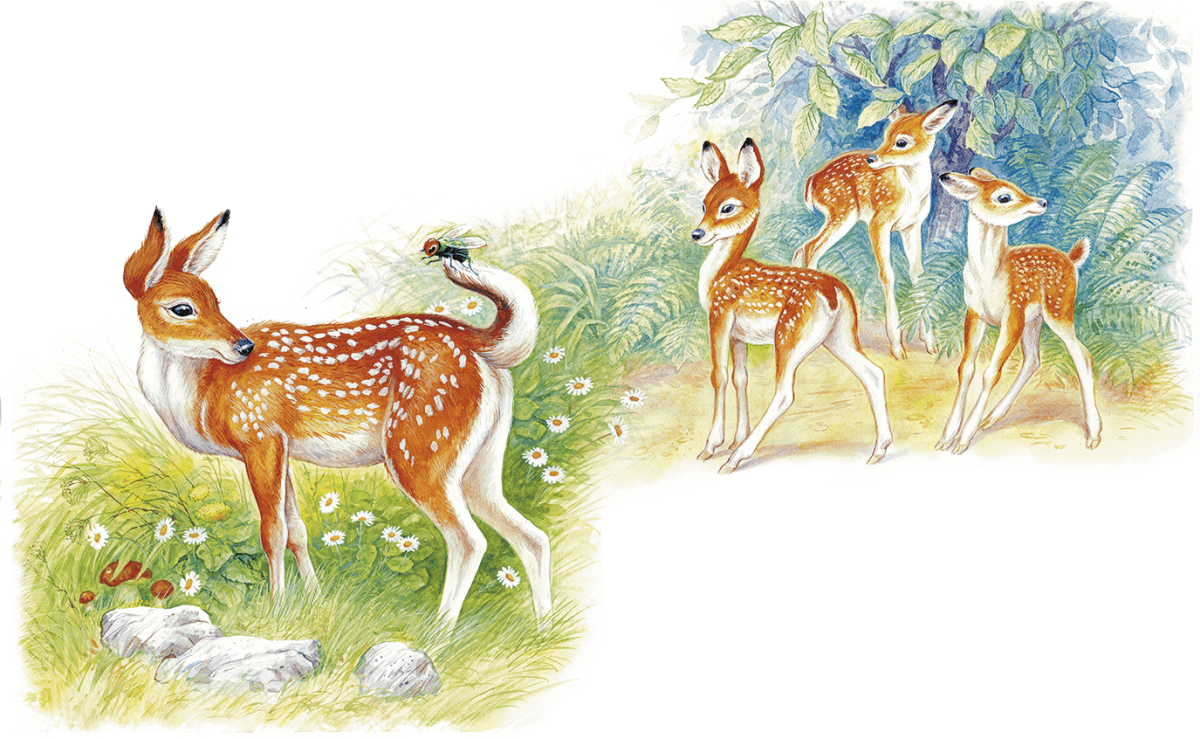 Раскраска мамин Сибиряк козявочка