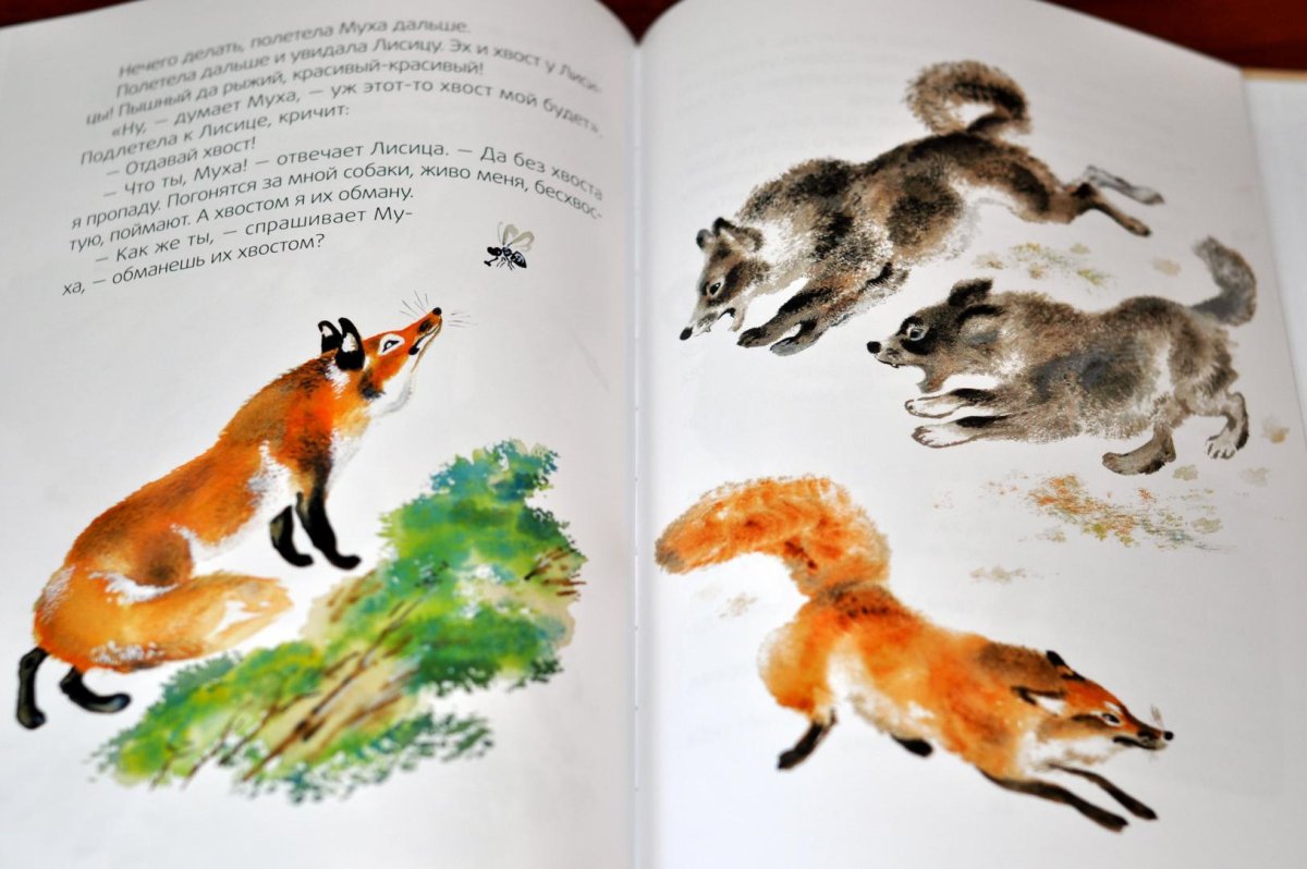 Корова раскраска для детей