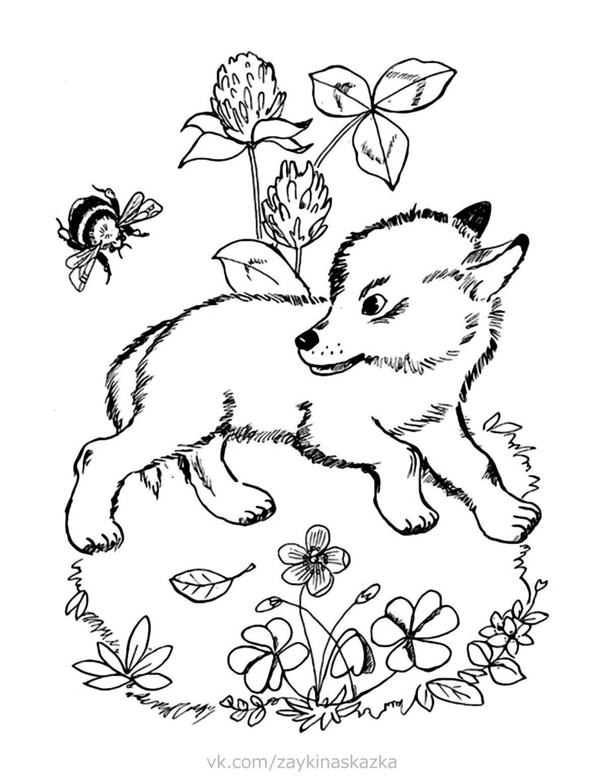 Чарушин Волчишко раскраска