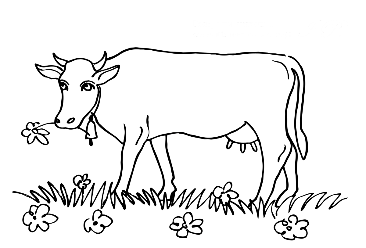 Виталий Бианки хвосты