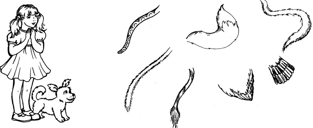 Хвост раскраска