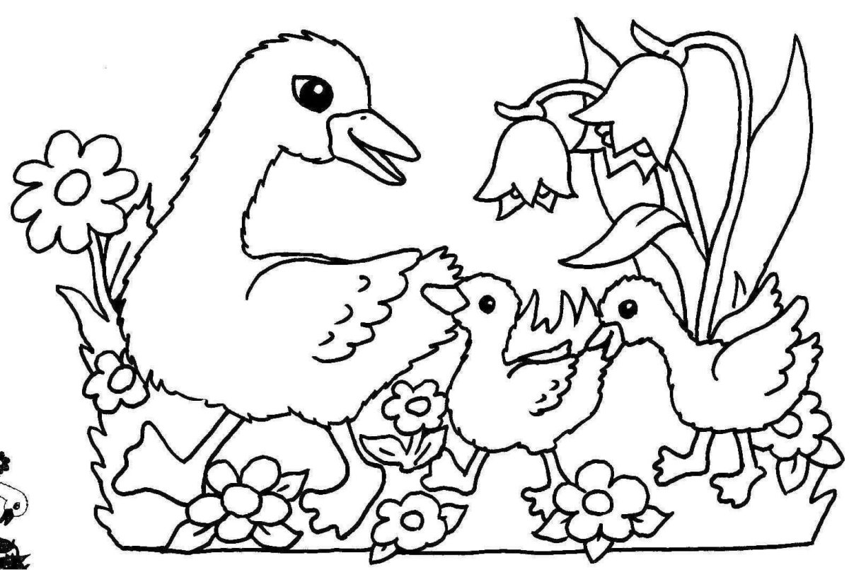 Храбрый заяц раскраска