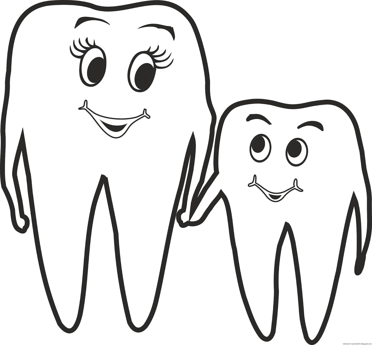 Зуб рисунок