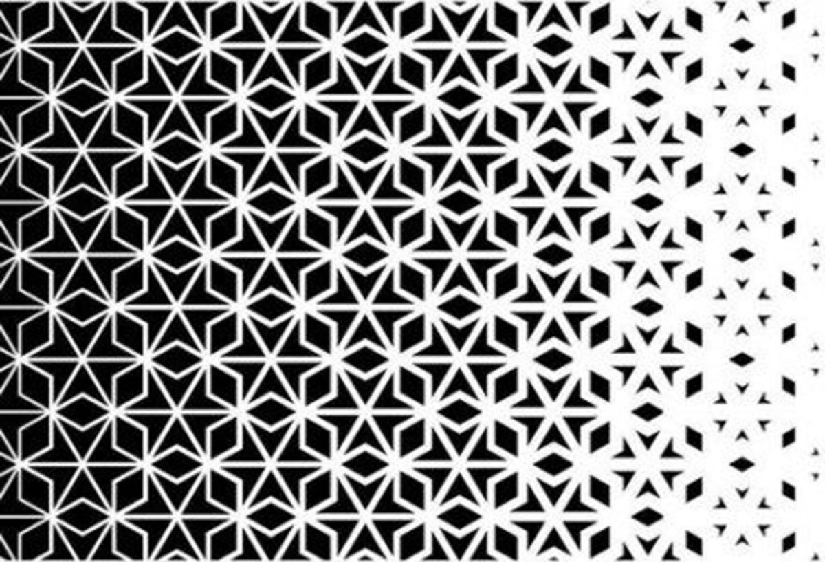 Миллий Наккошлик