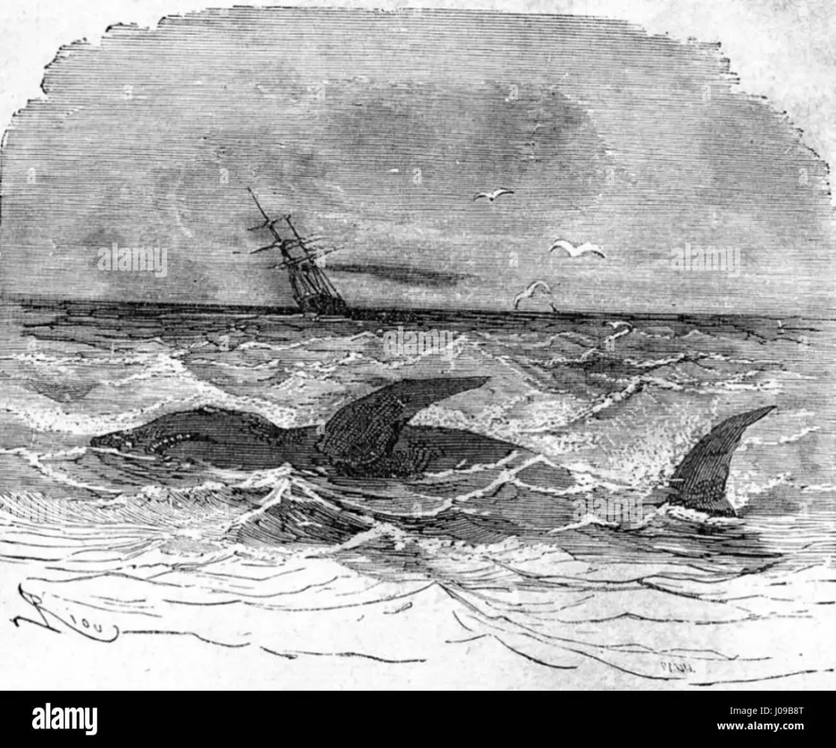 Рисунок к произведению дети капитана Гранта