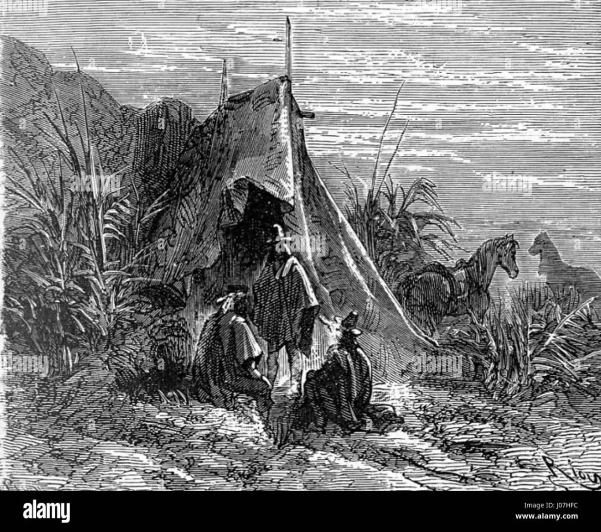 Жюль Верн патагонец