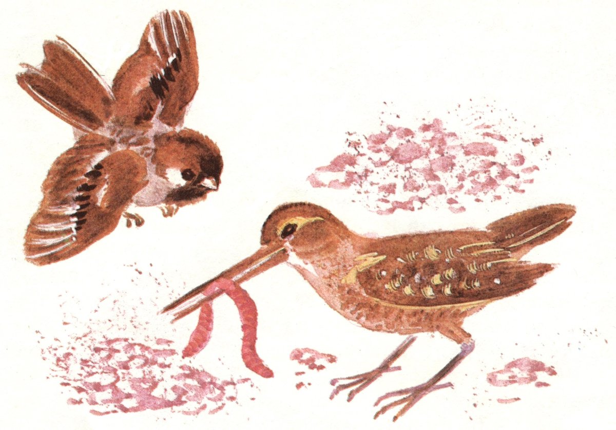 Воробей Воробеич и Ерш Ершович