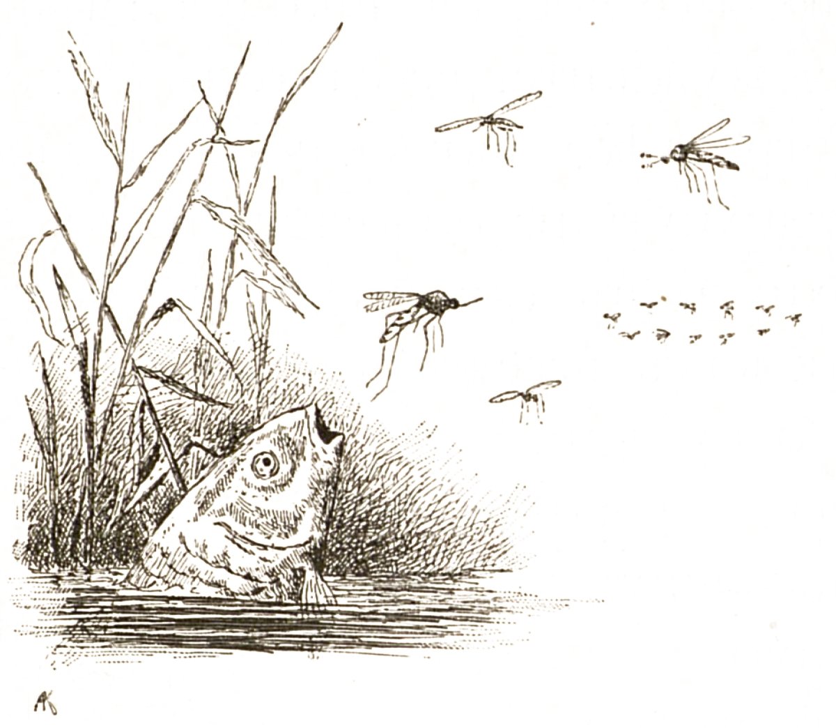 Мамин-Сибиряк Аленушкины сказки про козявочку