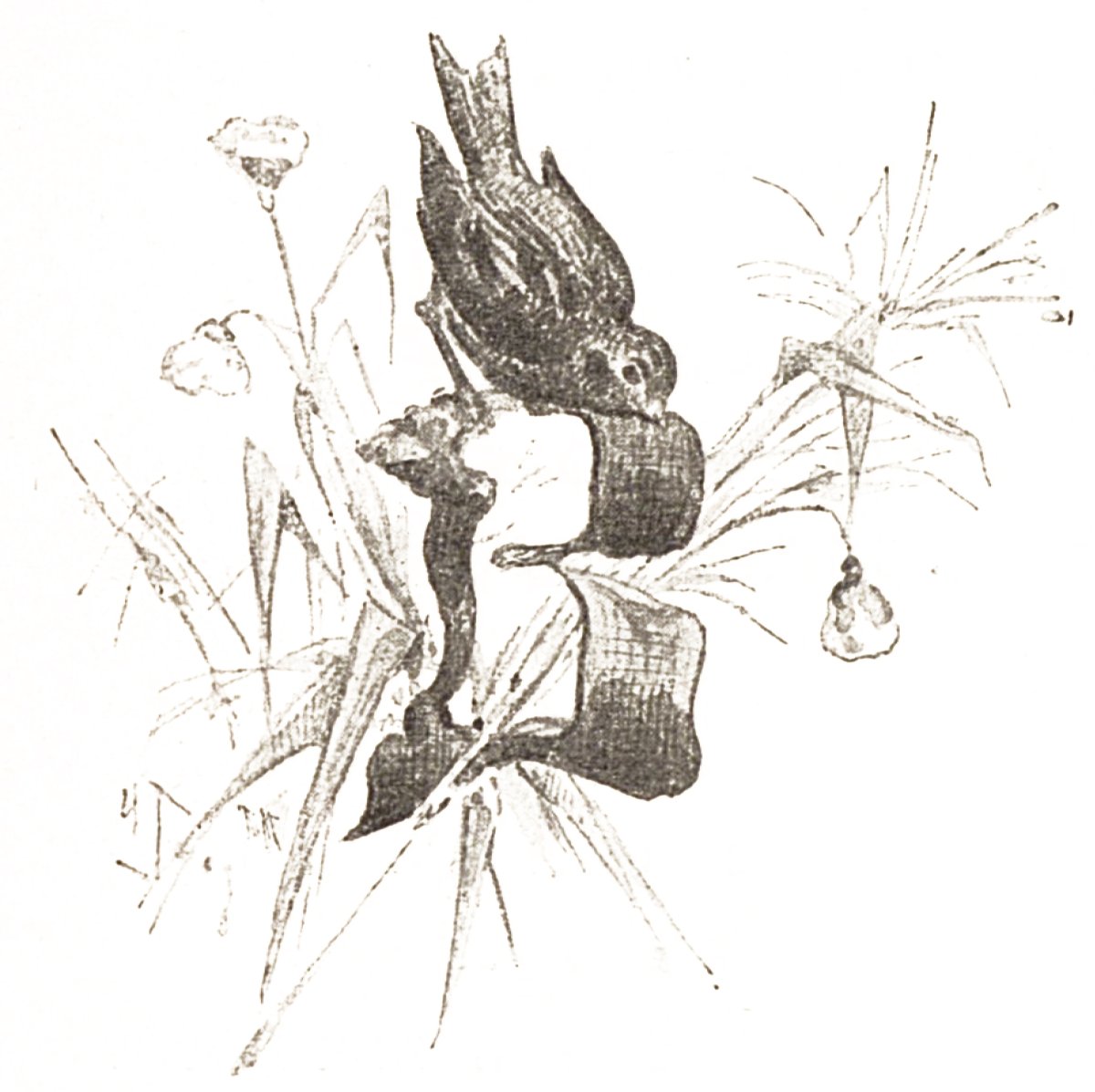 Ерш Ершович д.н.мамин -Сибиряк сказка