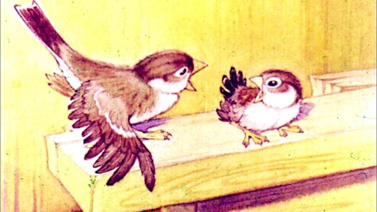 Воробей на ветке акварель