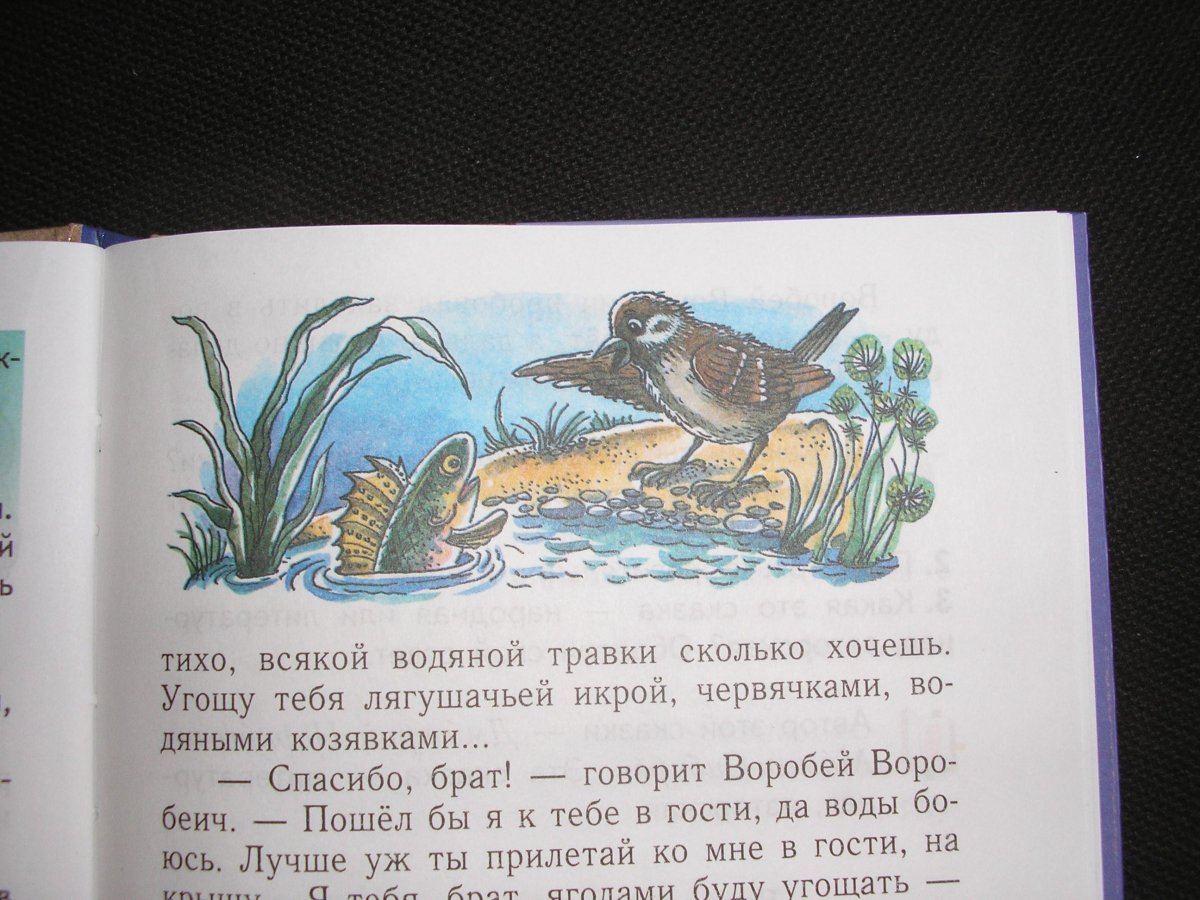 Раскраска Аленушкины сказки мамин Сибиряк