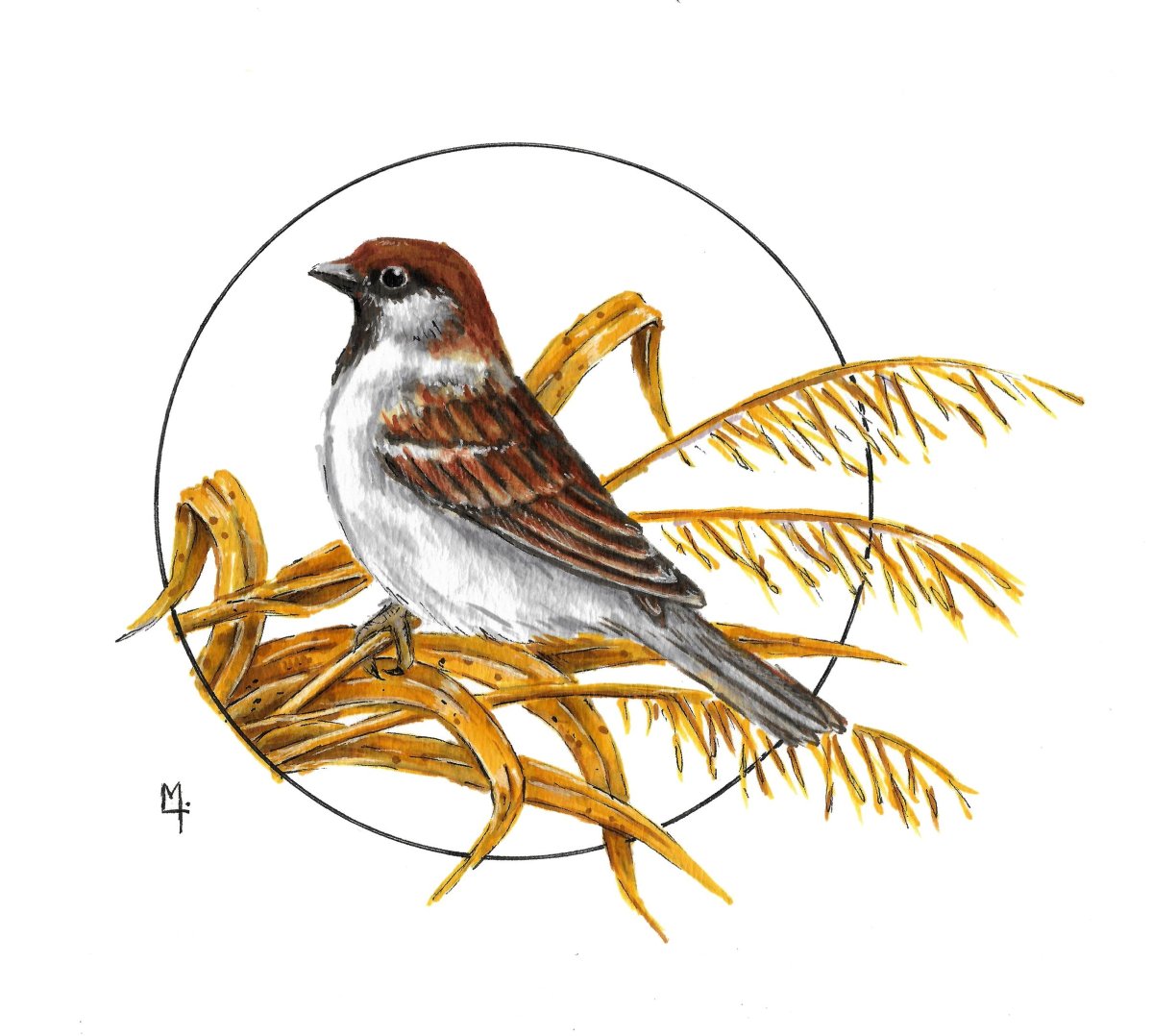 Воробушек акварелью