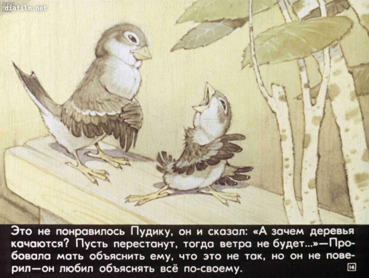 Анимация птица на ветке