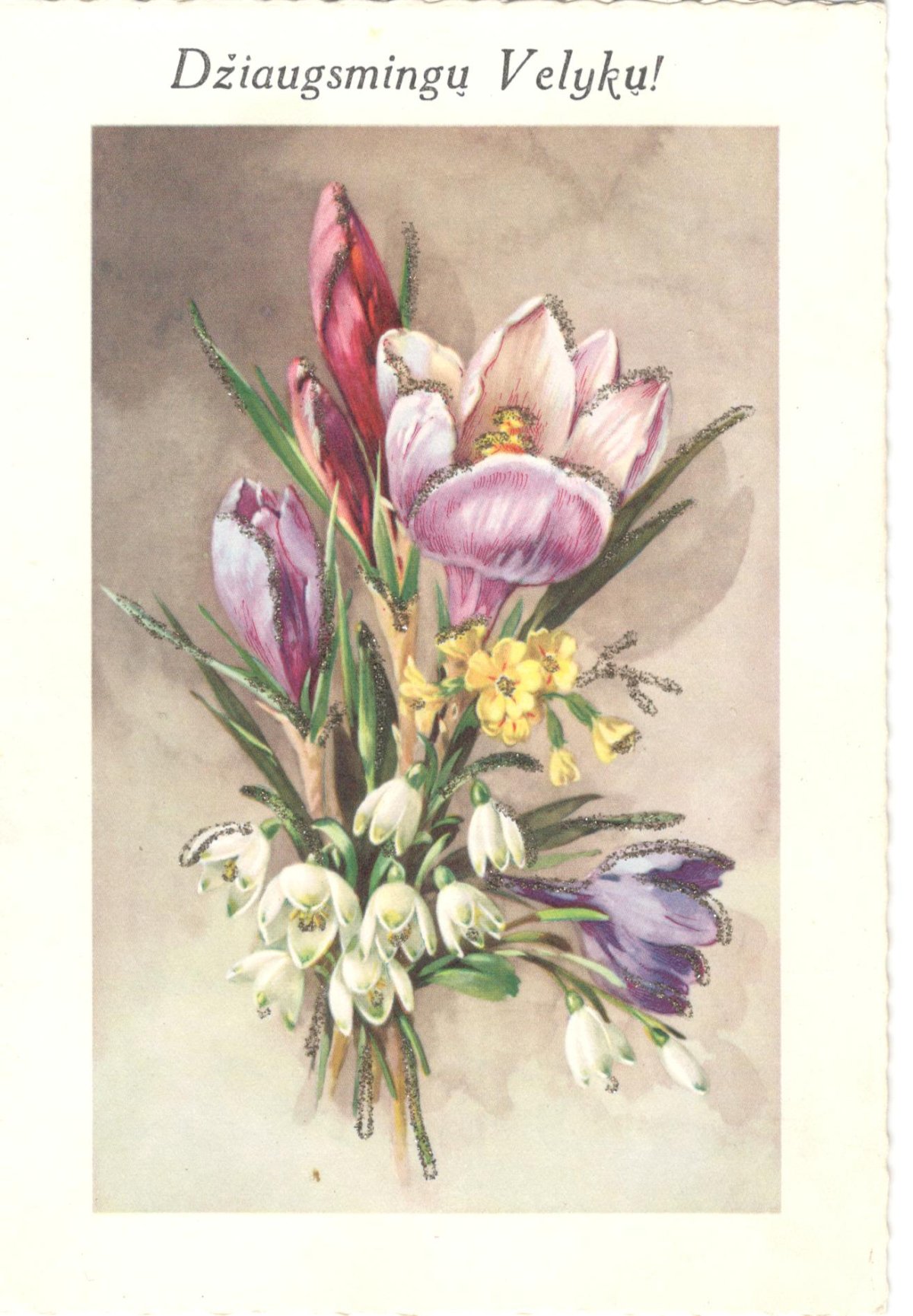 Безвременник Ботаническая иллюстрация