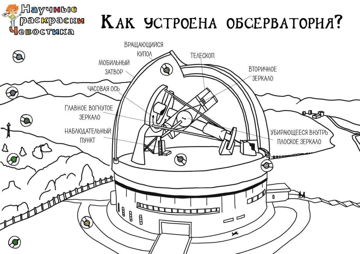 Схема процесса фотосинтеза