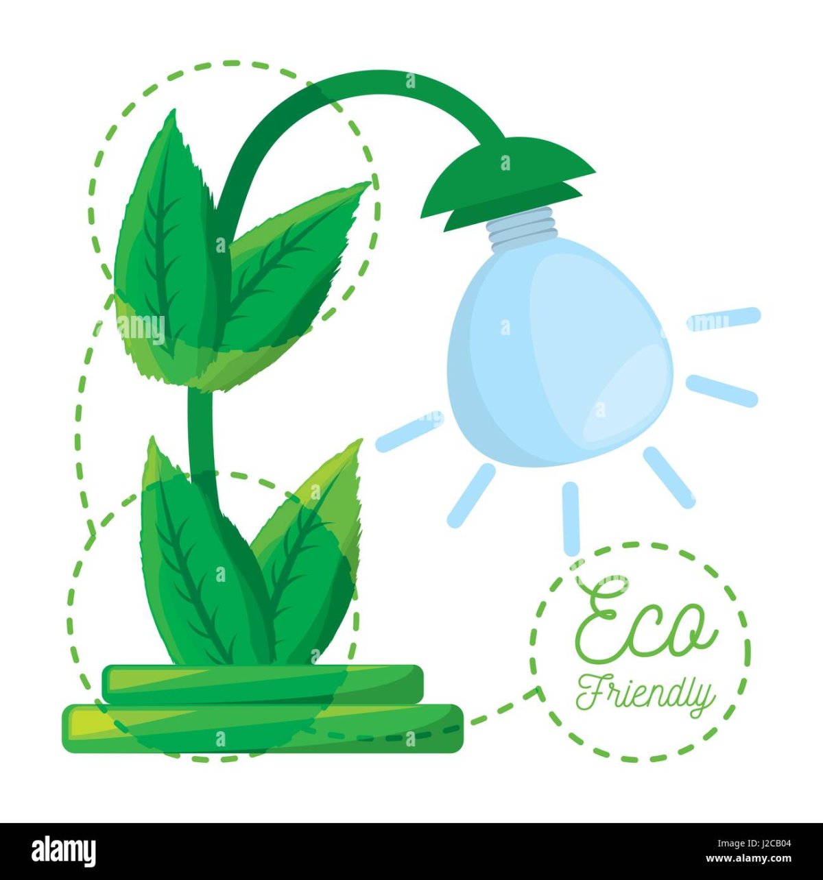 Раскраски комнатные растения монстера