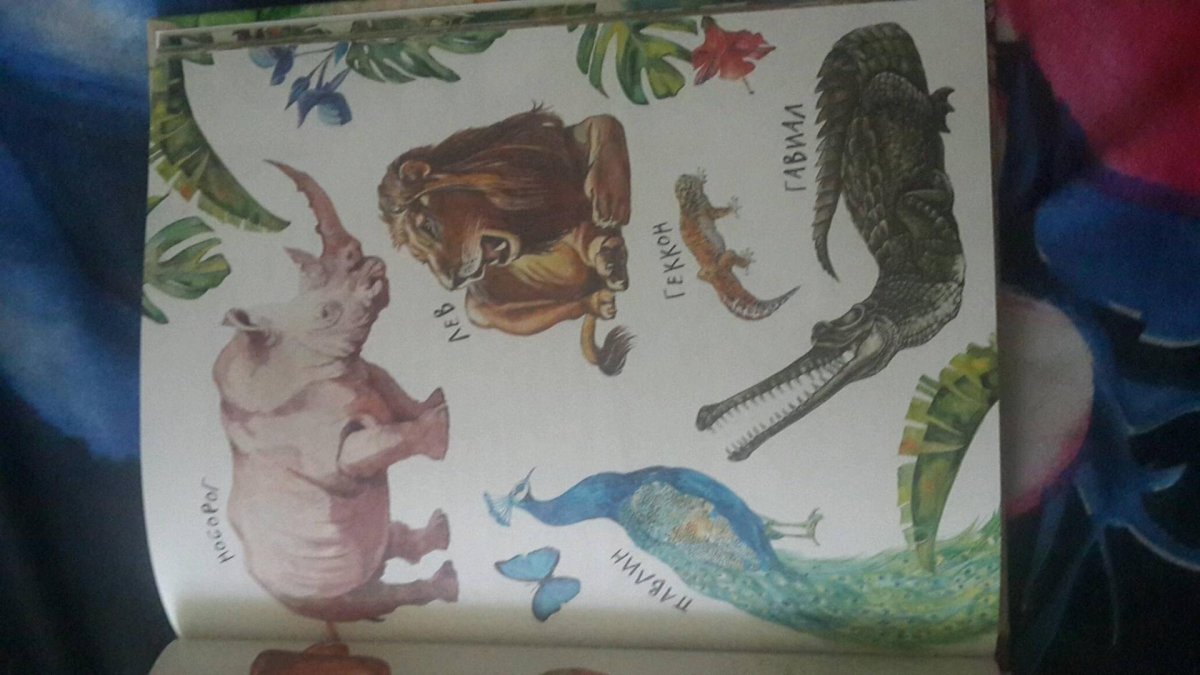 Борис Житков удав