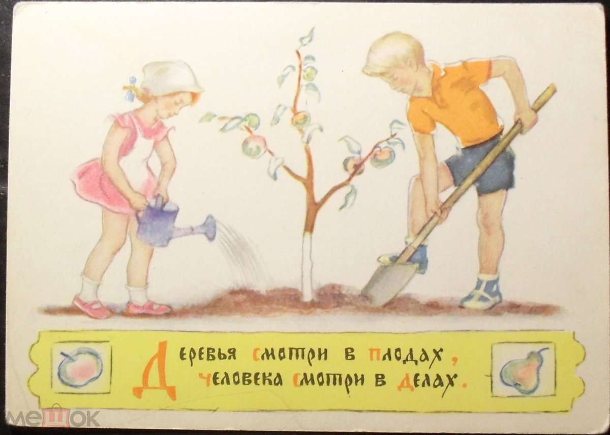 Без труда нет плода рисунок