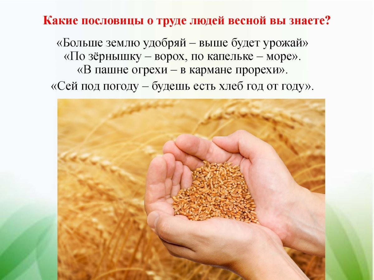 Современный лубок Марина Русанова