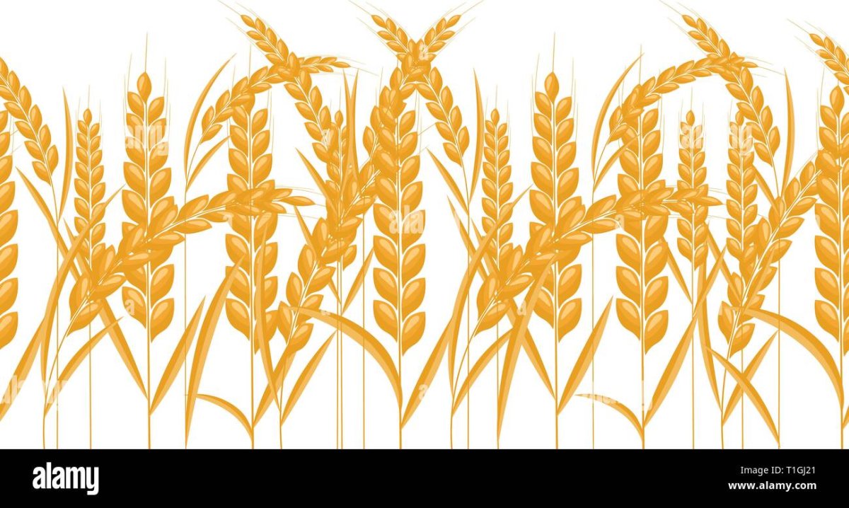 Колос трафарет