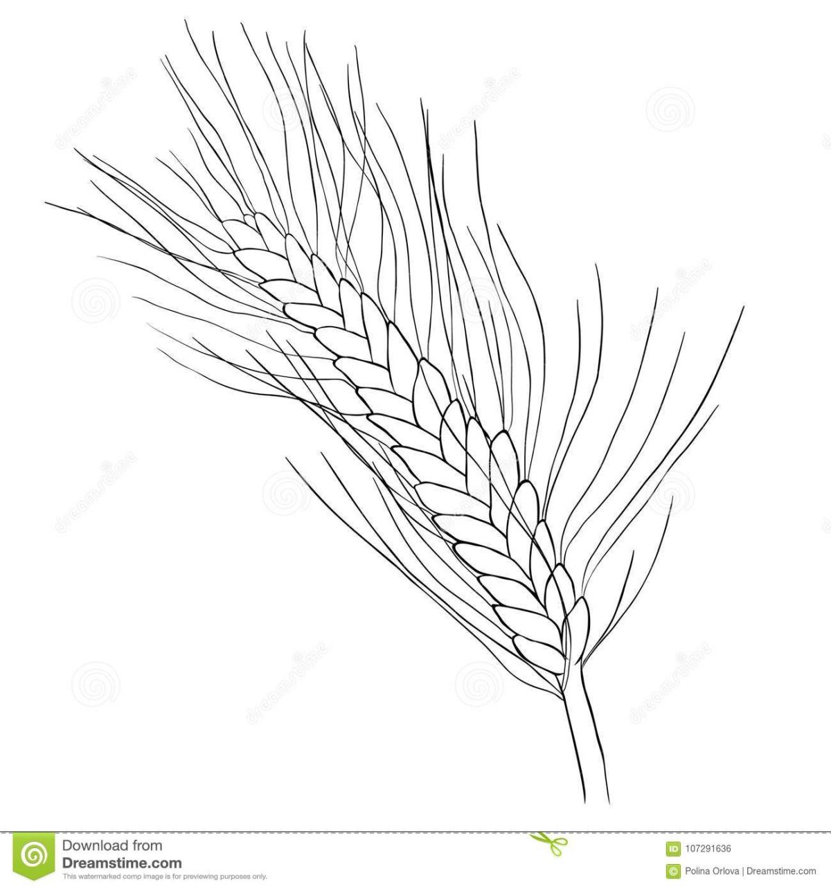 Рисунки хлеба и хлебобулочных изделий