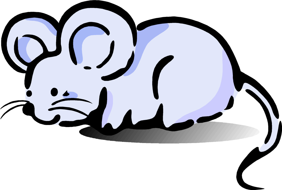 Мышь рисунок для детей