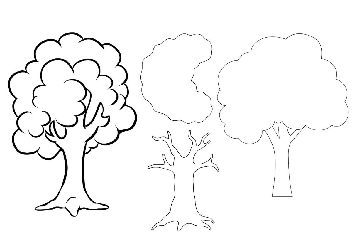 Крона дерева раскраска для детей