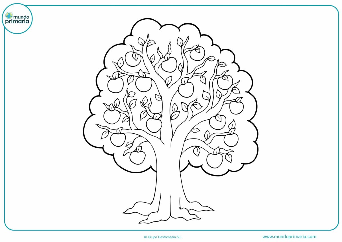 Дерево раскраска для детей