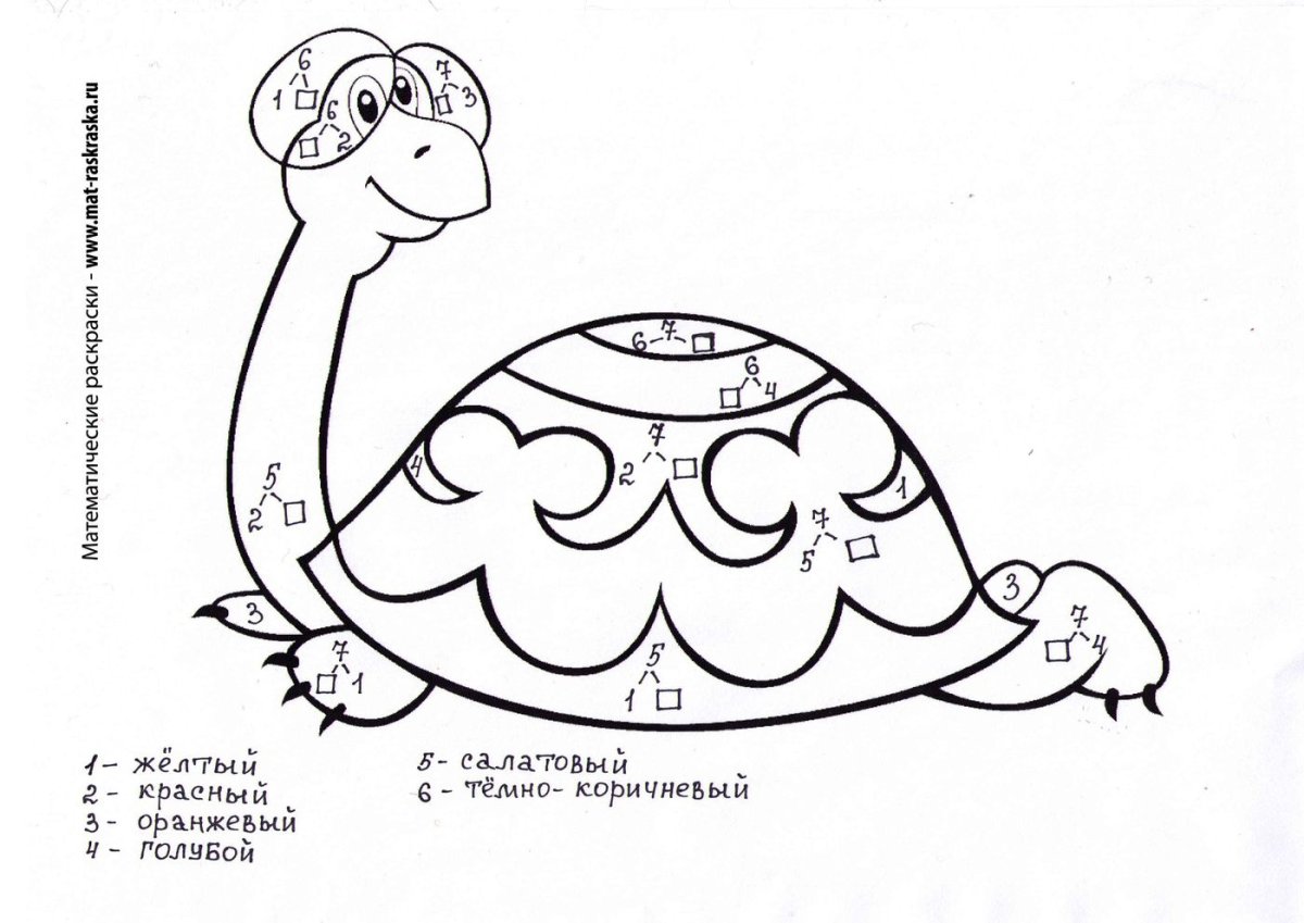 Раскраска черепаха