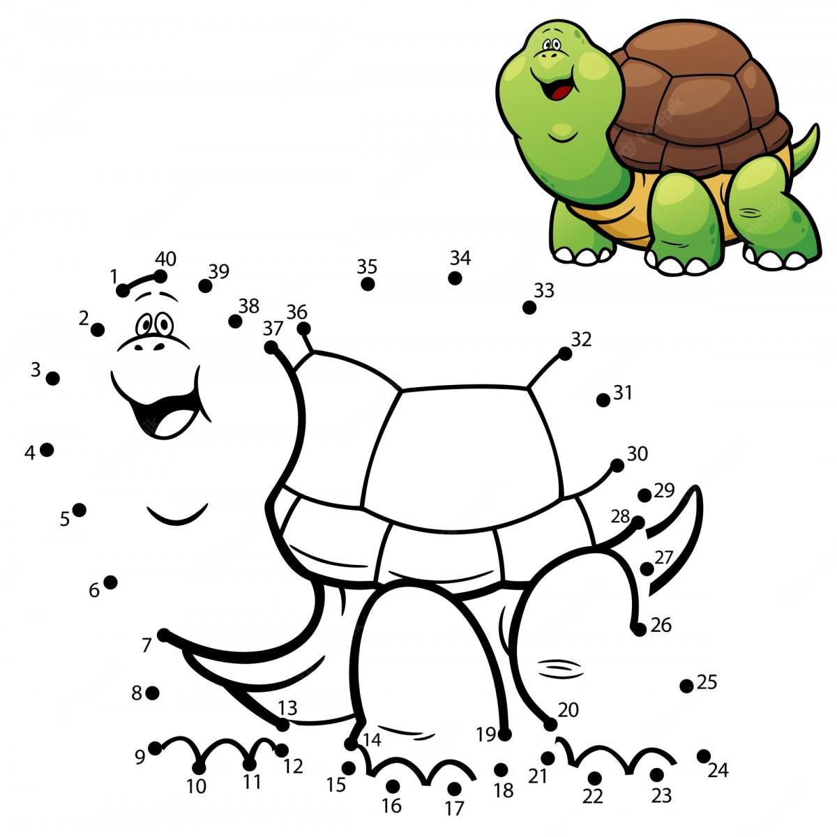 Раскраска антистресс черепаха