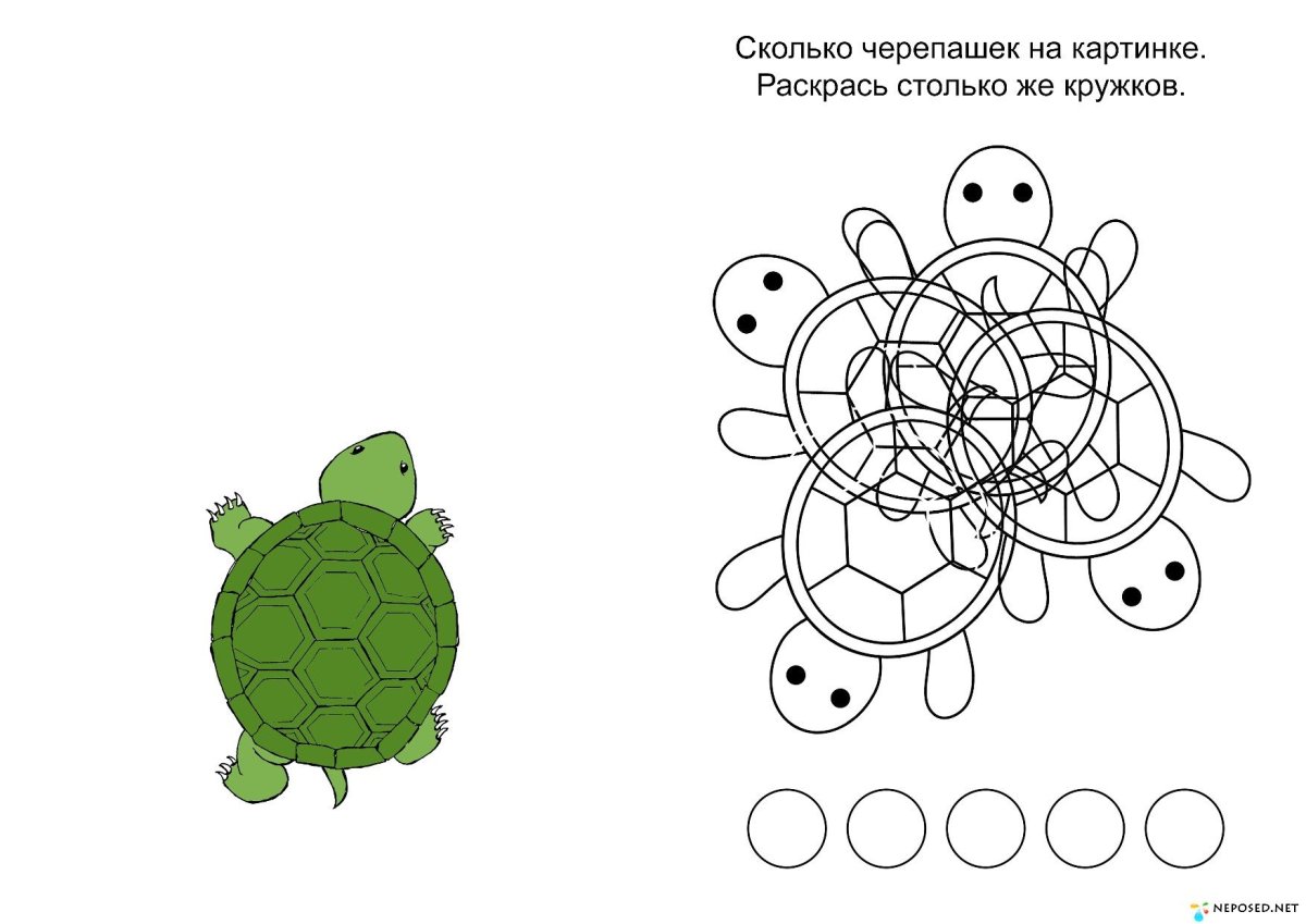 Раскраска маленькие Черепашки