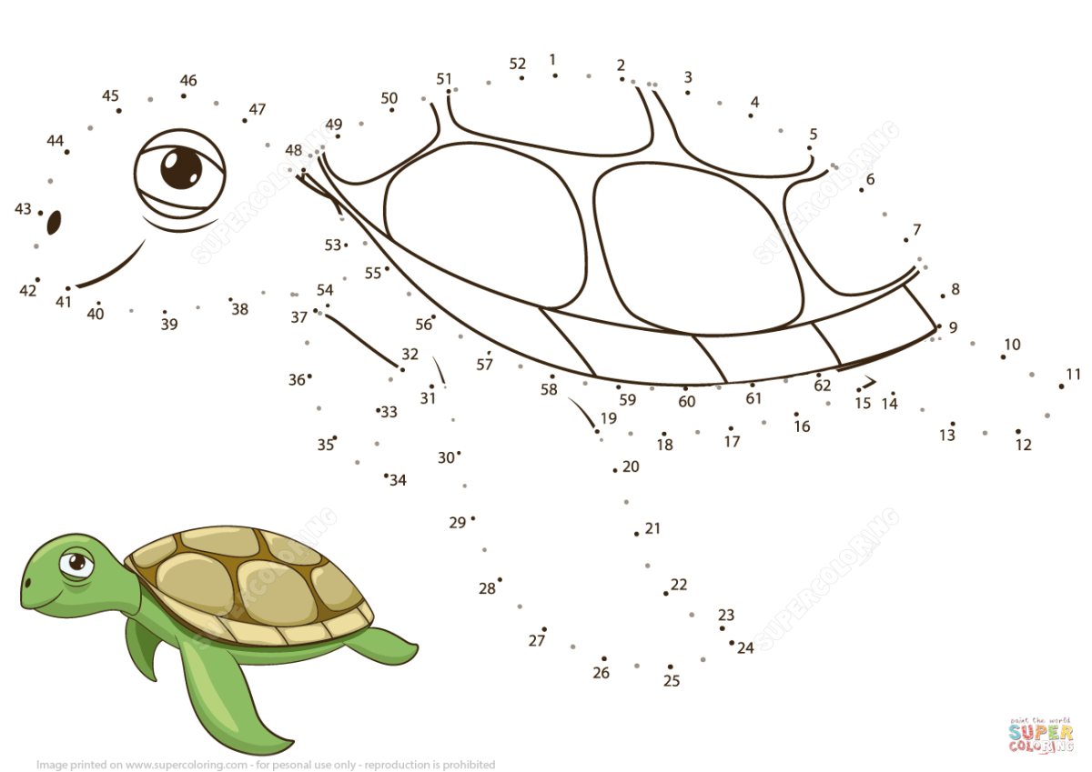 Раскраска черепаха