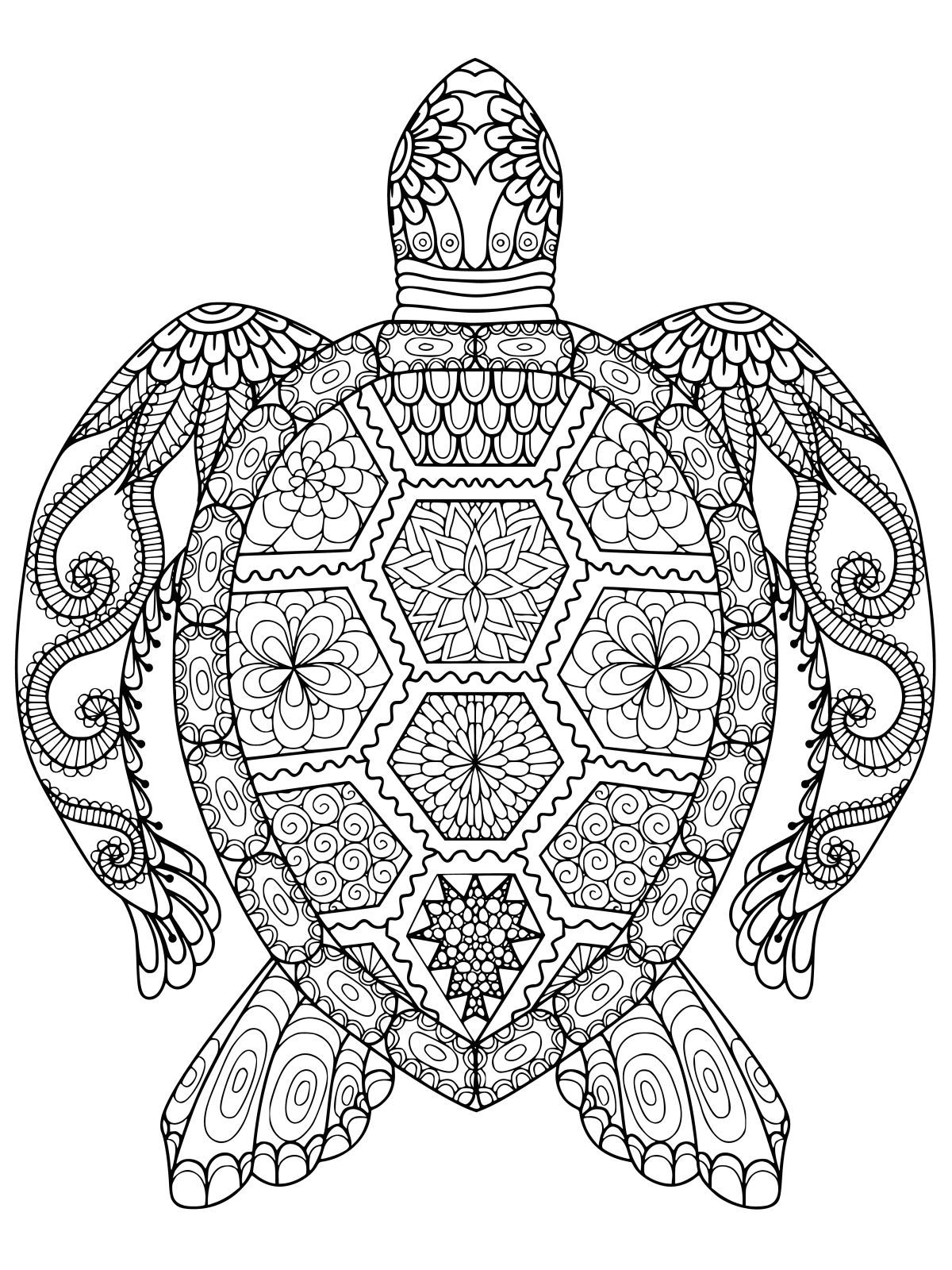 Раскраска милая морская черепаха