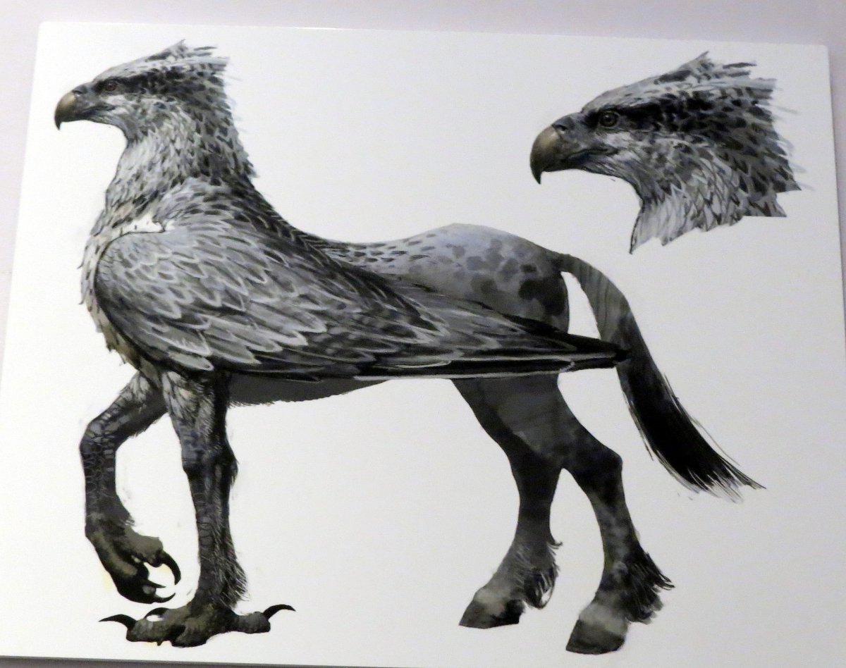 Гарри Поттер Сириус Клювокрыл