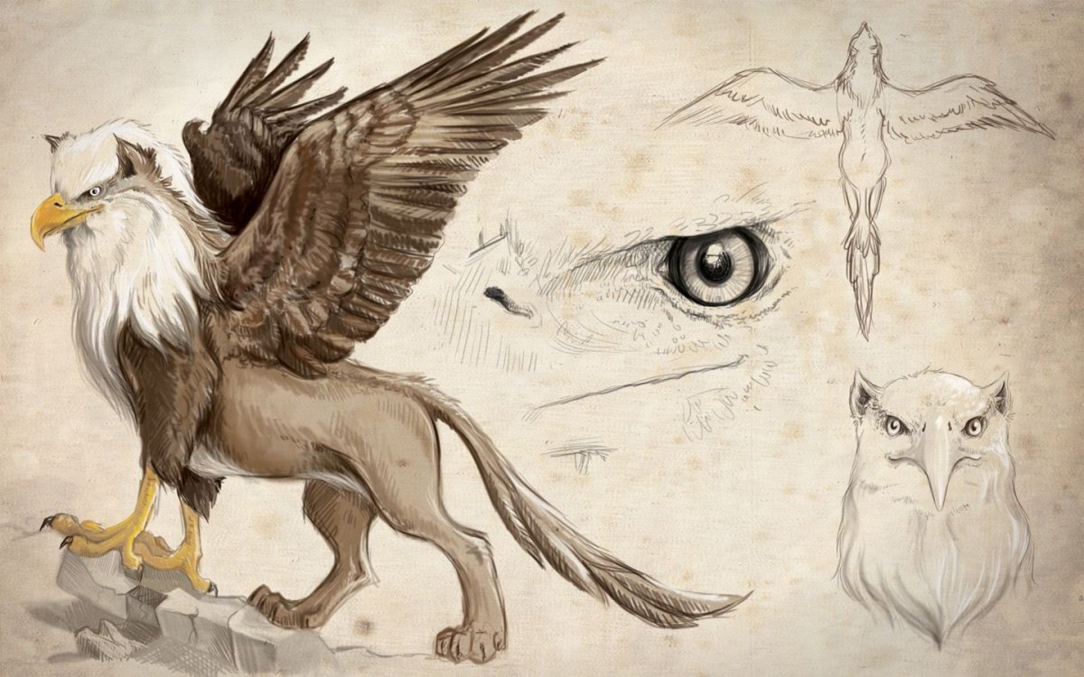 Гиппогриф Гарри Поттер