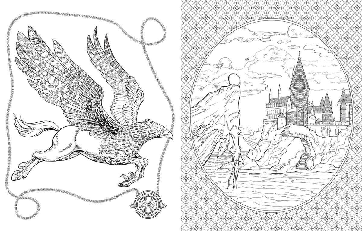 Раскраска для взрослых Гарри Поттер