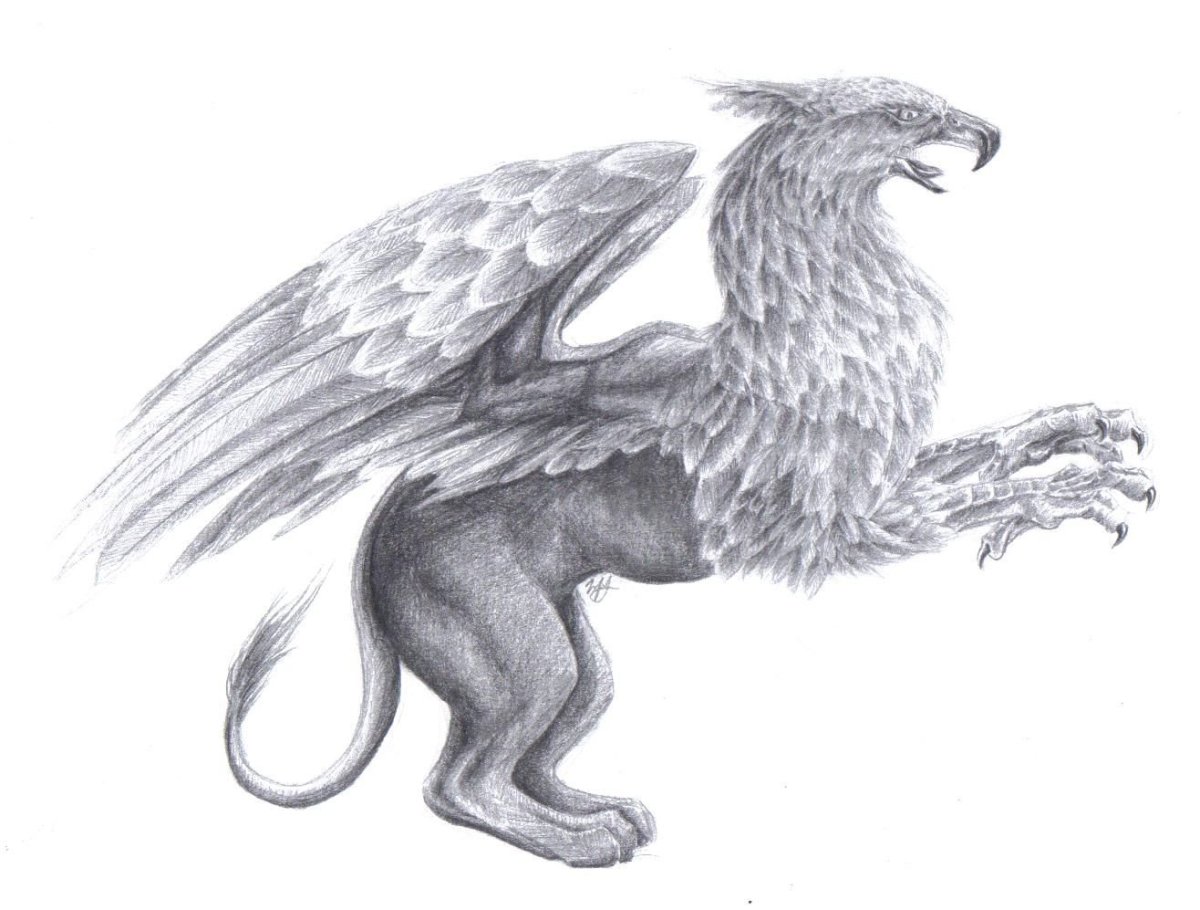 Грифон Клювокрыл