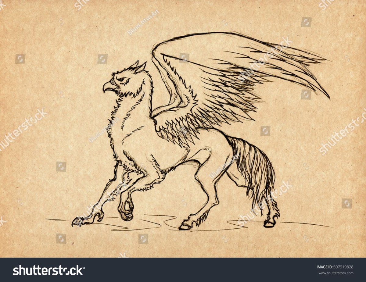 Гарри Поттер герб Гриффиндора раскраска