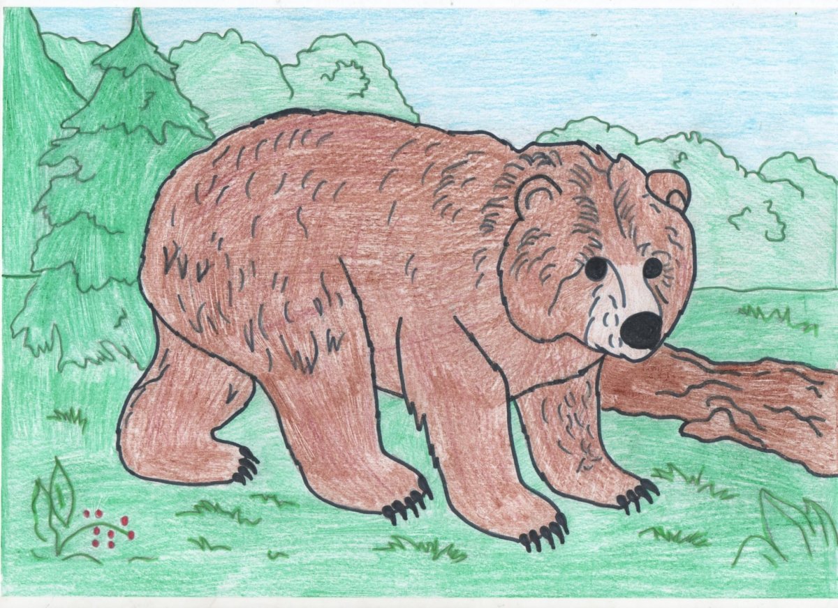 Евгений Рачев иллюстрации медведь