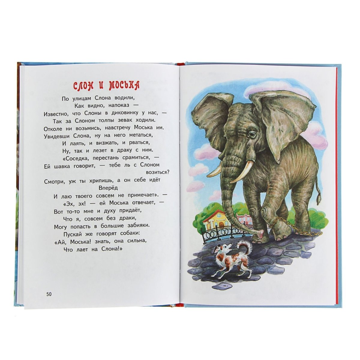 Медведь в лесу раскраска для детей