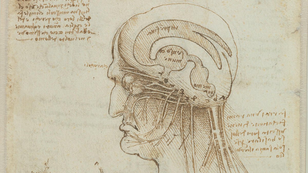 Наброски Леонардо Давинчи