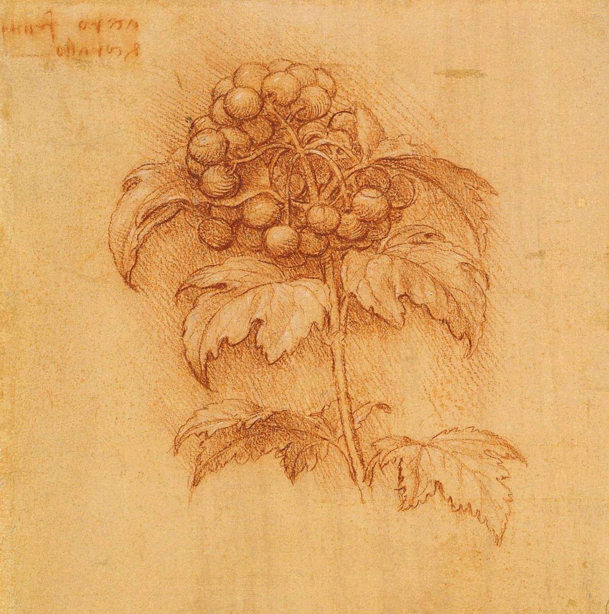 Раскраска по картинам художников