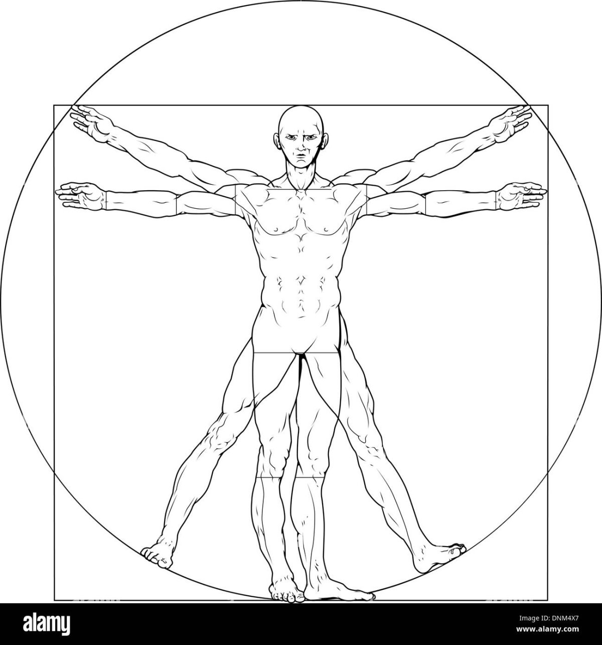 Леонардо да Винчи художник