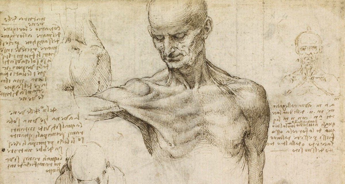 Картины Давинчи Леонардо да