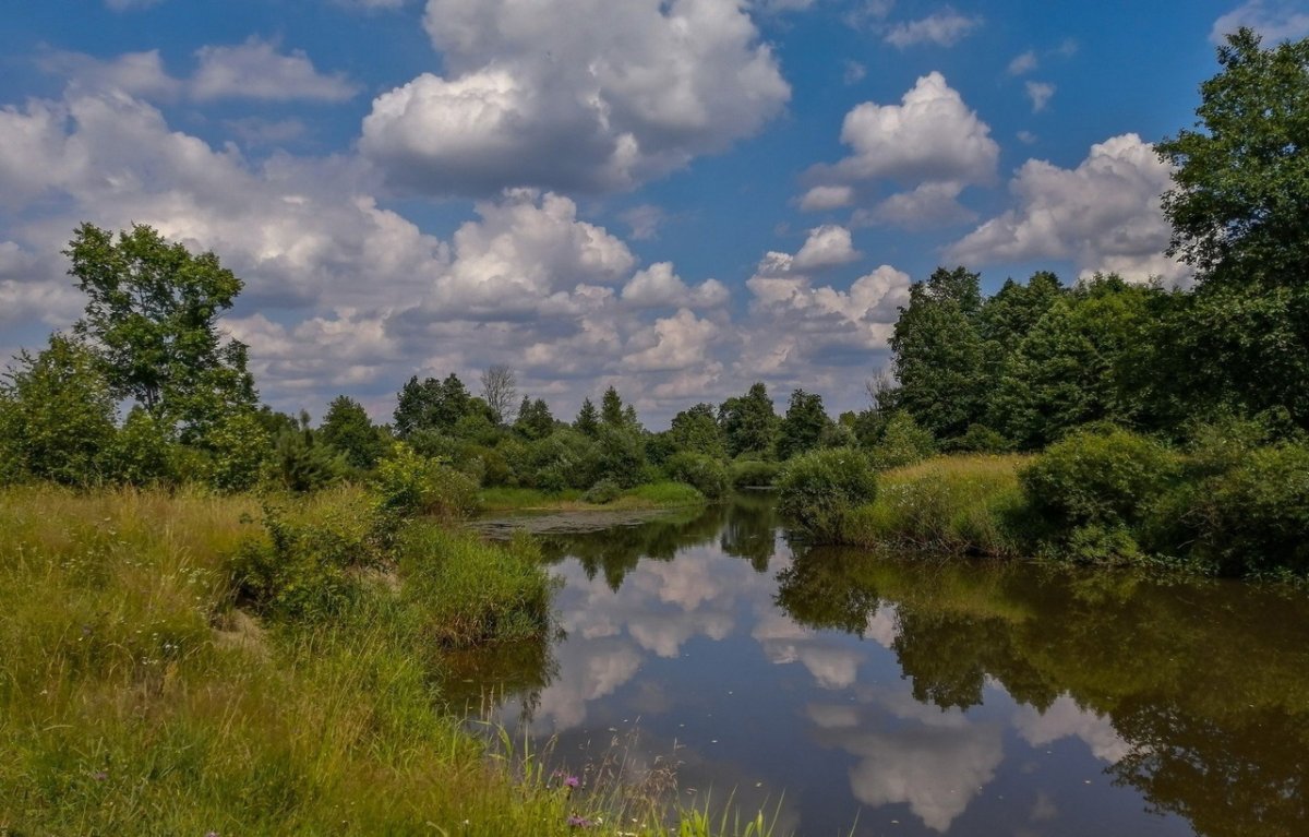 Фёдор Тютчев в небе тают облака