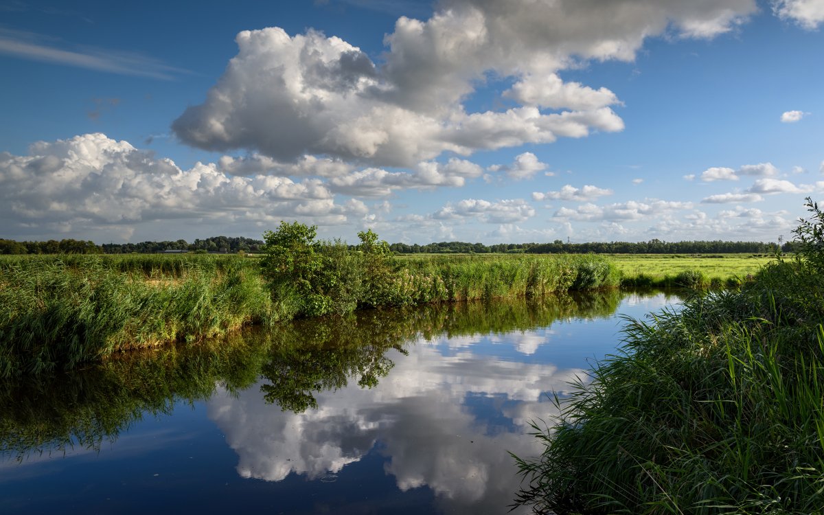 Река Судость