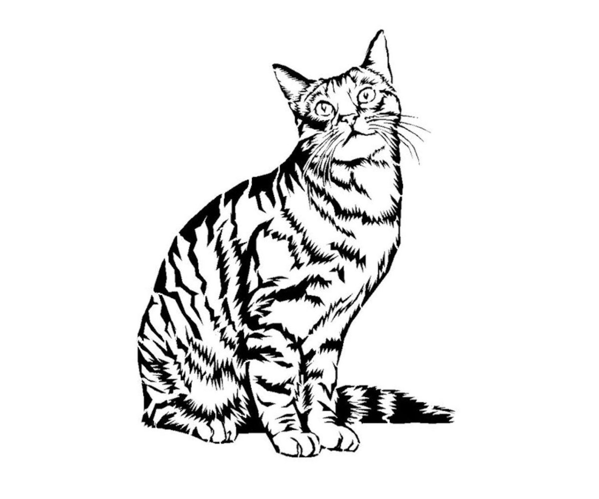 Раскраска кошка полосатая