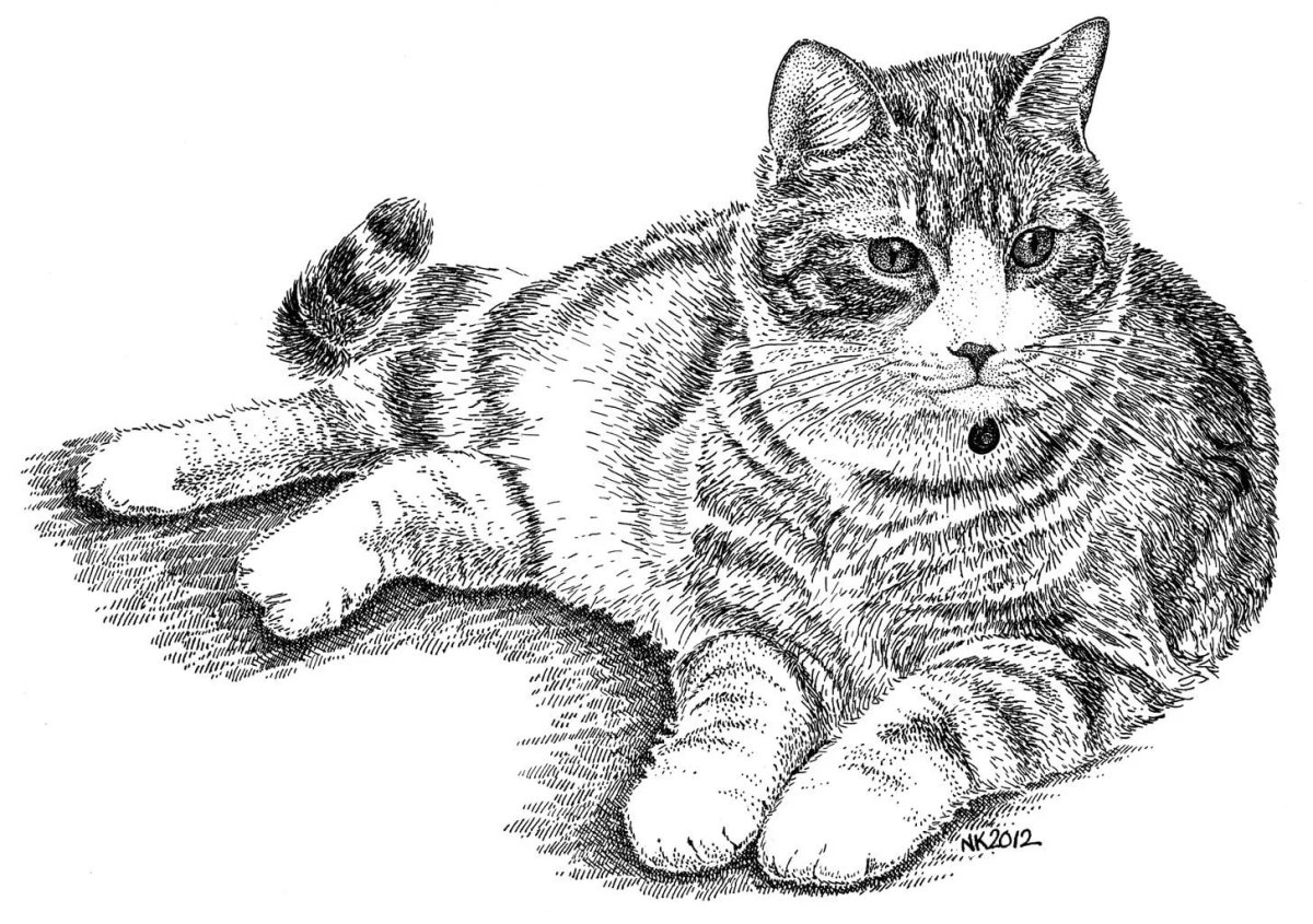 Кошка раскраска для детей