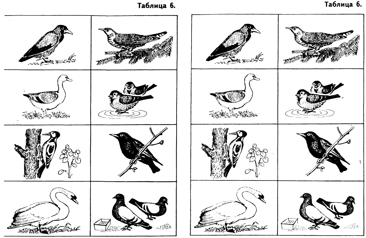 Лото перелетные и зимующие птицы