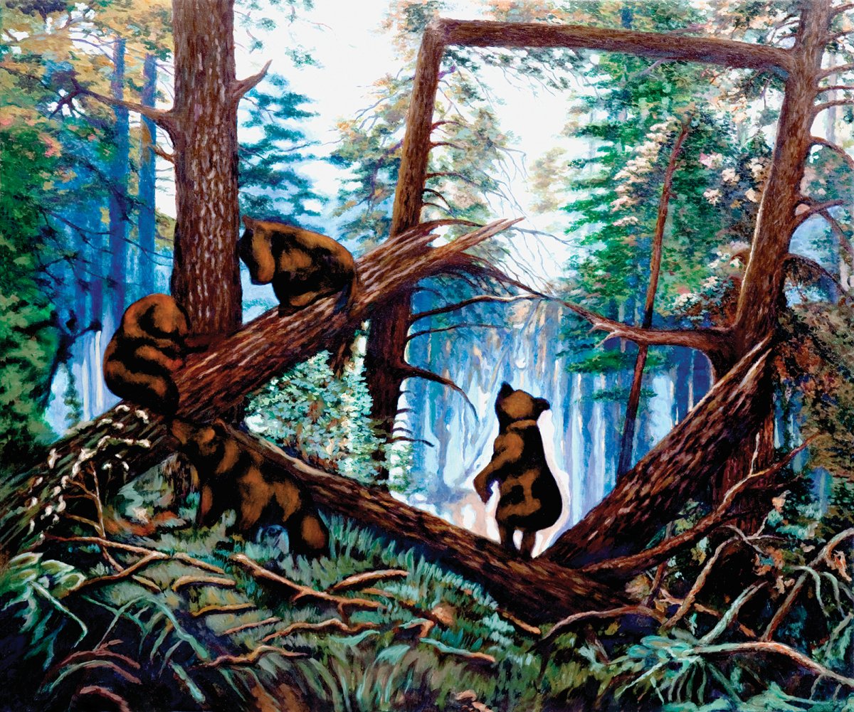 Золотое Руно Шишкин утро в Сосновом